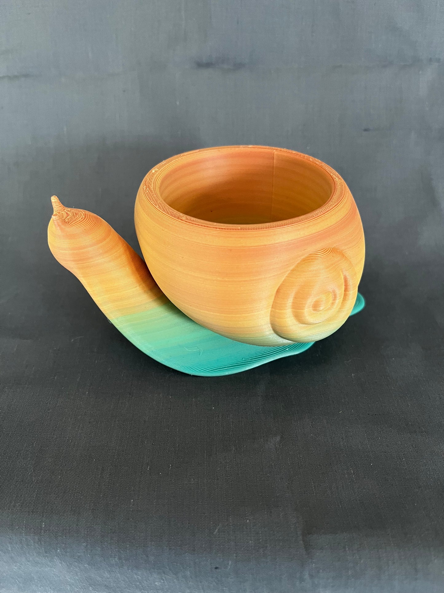 Snail planter for small plant.