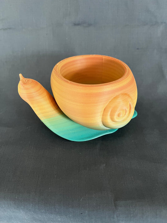 Snail planter for small plant.