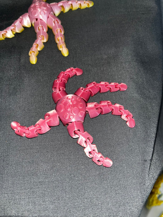 Fidget starfish