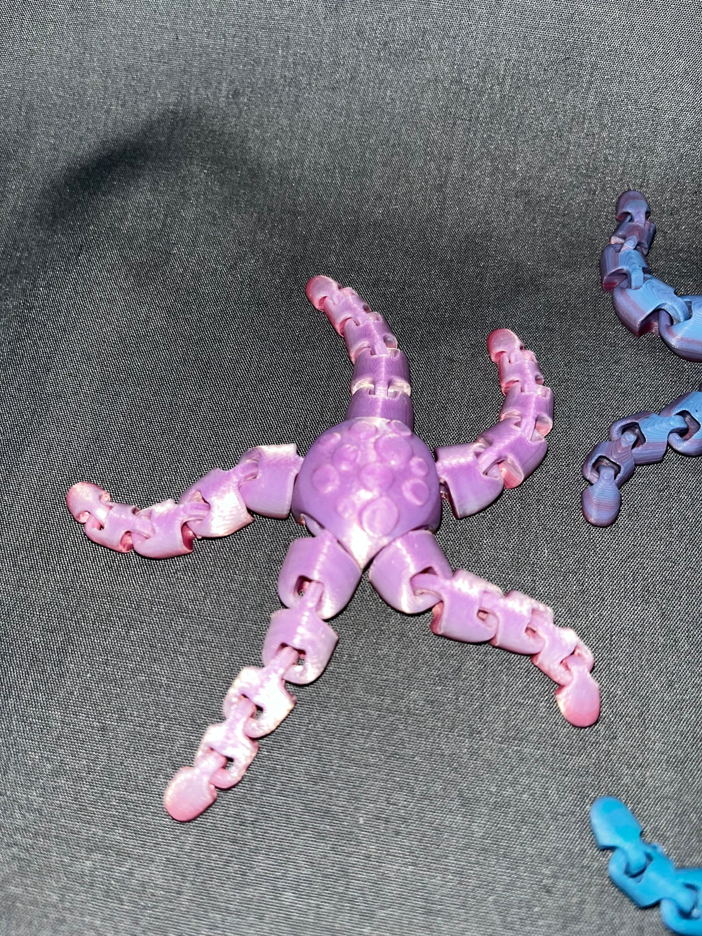 Fidget starfish